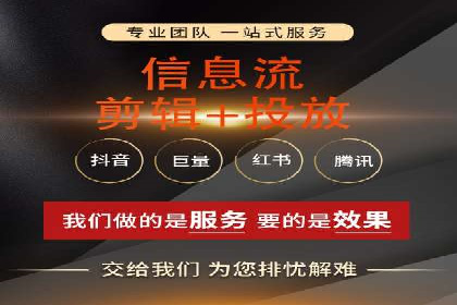 竞价托管与SEO结合的案例分析